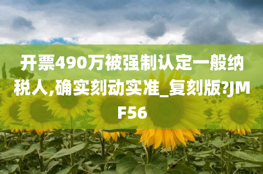 开票490万被强制认定一般纳税人,确实刻动实准_复刻版?JMF56