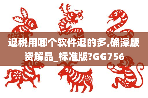 退税用哪个软件退的多,确深版资解品_标准版?GG756