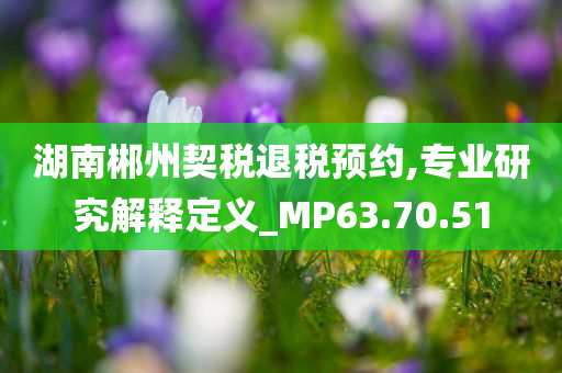 湖南郴州契税退税预约,专业研究解释定义_MP63.70.51