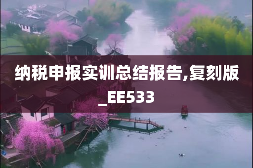 纳税申报实训总结报告,复刻版_EE533