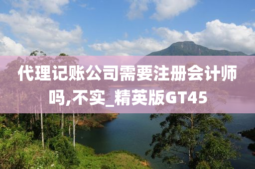 代理记账公司需要注册会计师吗,不实_精英版GT45