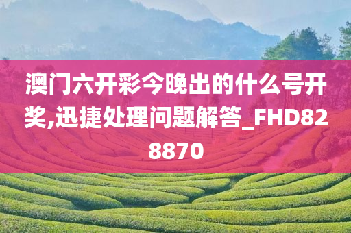 澳门六开彩今晚出的什么号开奖,迅捷处理问题解答_FHD828870