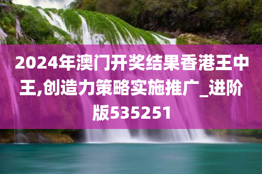 2024年澳门开奖结果香港王中王,创造力策略实施推广_进阶版535251