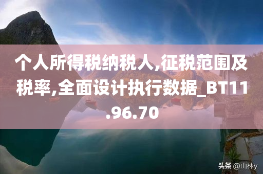 个人所得税纳税人,征税范围及税率,全面设计执行数据_BT11.96.70