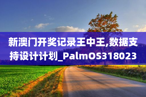 新澳门开奖记录王中王,数据支持设计计划_PalmOS318023