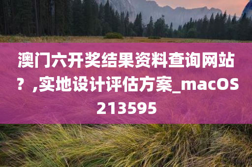 澳门六开奖结果资料查询网站？,实地设计评估方案_macOS213595