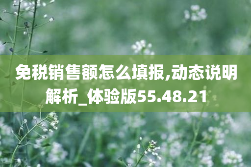 免税销售额怎么填报,动态说明解析_体验版55.48.21