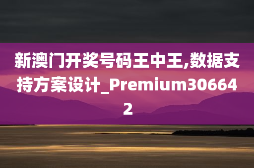 新澳门开奖号码王中王,数据支持方案设计_Premium306642