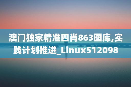 澳门独家精准四肖863图库,实践计划推进_Linux512098