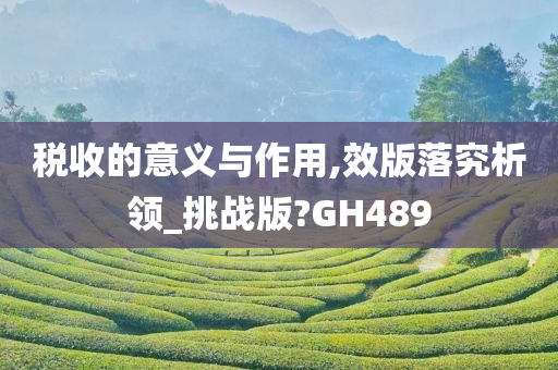 税收的意义与作用,效版落究析领_挑战版?GH489