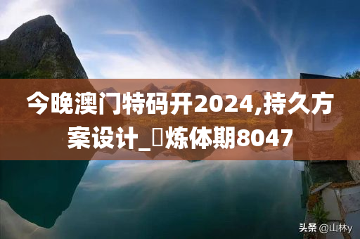 今晚澳门特码开2024,持久方案设计_‌炼体期8047