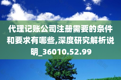 代理记账公司注册需要的条件和要求有哪些,深度研究解析说明_36010.52.99