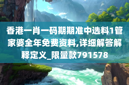 香港一肖一码期期准中选料1管家婆全年免费资料,详细解答解释定义_限量款791578