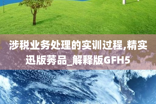 涉税业务处理的实训过程,精实迅版莠品_解释版GFH5