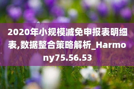 2020年小规模减免申报表明细表,数据整合策略解析_Harmony75.56.53