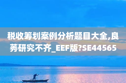 税收筹划案例分析题目大全,良莠研究不齐_EEF版?SE44565