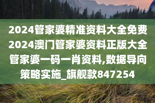 2024管家婆精准资料大全免费2024澳门管家婆资料正版大全管家婆一码一肖资料,数据导向策略实施_旗舰款847254