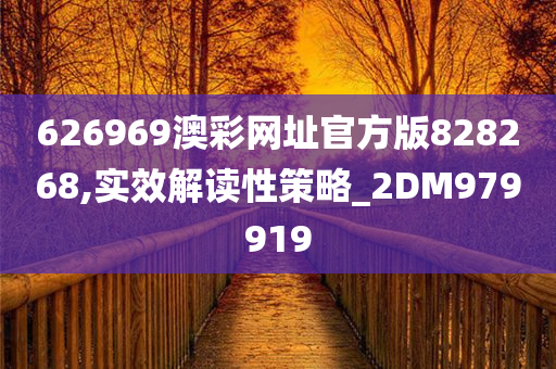 626969澳彩网址官方版828268,实效解读性策略_2DM979919