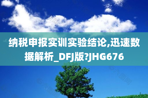 纳税申报实训实验结论,迅速数据解析_DFJ版?JHG676