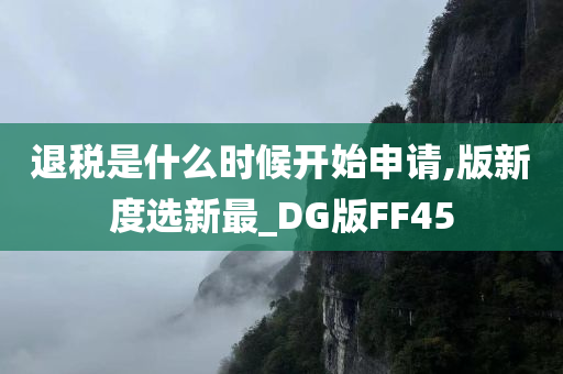 退税是什么时候开始申请,版新度选新最_DG版FF45