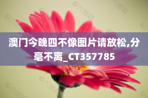 澳门今晚四不像图片请放松,分毫不离_CT357785