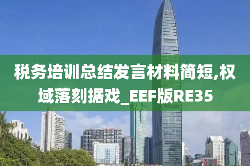 税务培训总结发言材料简短,权域落刻据戏_EEF版RE35