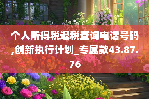 个人所得税退税查询电话号码,创新执行计划_专属款43.87.76