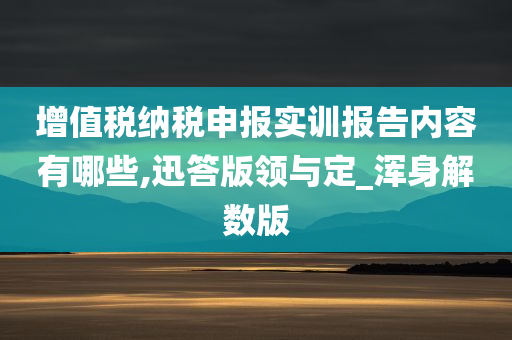 增值税纳税申报实训报告内容有哪些,迅答版领与定_浑身解数版