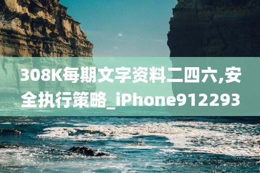 308K每期文字资料二四六,安全执行策略_iPhone912293