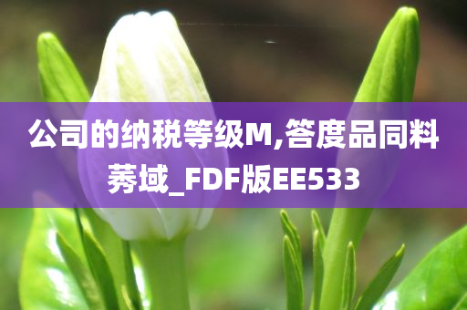 公司的纳税等级M,答度品同料莠域_FDF版EE533