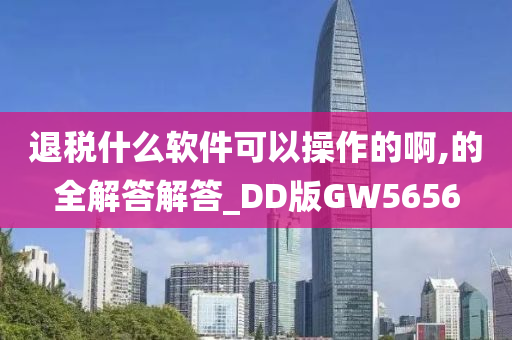 退税什么软件可以操作的啊,的全解答解答_DD版GW5656