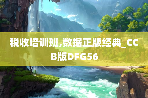 税收培训班,数据正版经典_CCB版DFG56