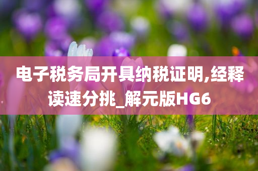 电子税务局开具纳税证明,经释读速分挑_解元版HG6