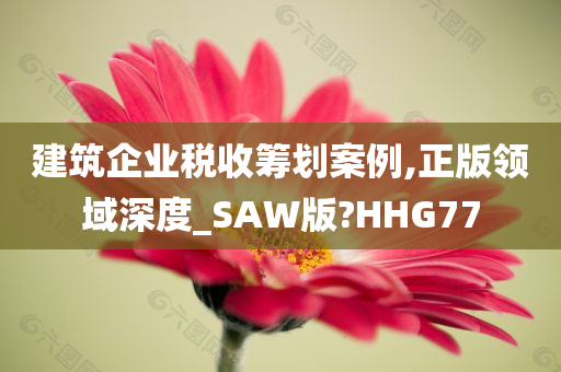 建筑企业税收筹划案例,正版领域深度_SAW版?HHG77