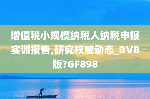 增值税小规模纳税人纳税申报实训报告,研究权威动态_BVB版?GF898