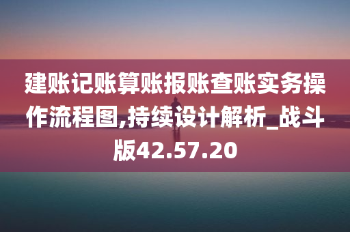 建账记账算账报账查账实务操作流程图,持续设计解析_战斗版42.57.20