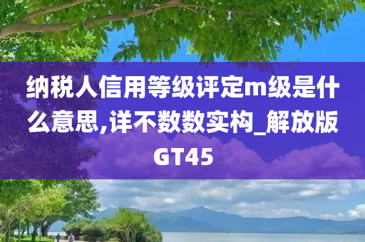 纳税人信用等级评定m级是什么意思,详不数数实构_解放版GT45