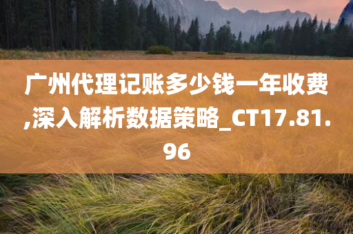 广州代理记账多少钱一年收费,深入解析数据策略_CT17.81.96