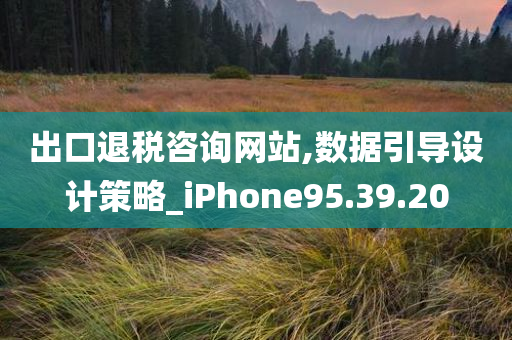 出口退税咨询网站,数据引导设计策略_iPhone95.39.20