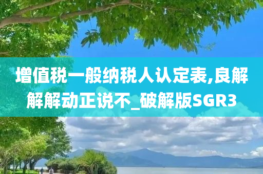 增值税一般纳税人认定表,良解解解动正说不_破解版SGR3