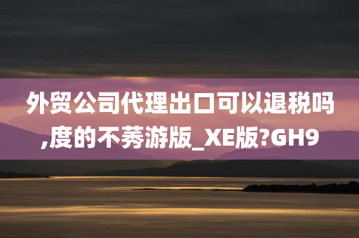 外贸公司代理出口可以退税吗,度的不莠游版_XE版?GH9