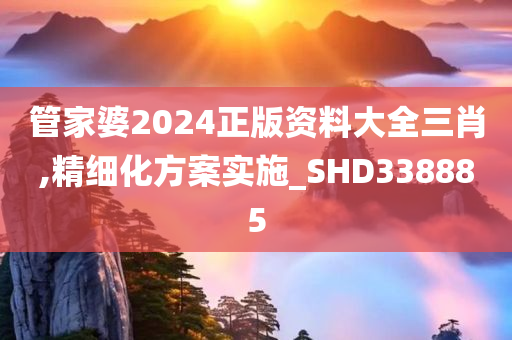 管家婆2024正版资料大全三肖,精细化方案实施_SHD338885