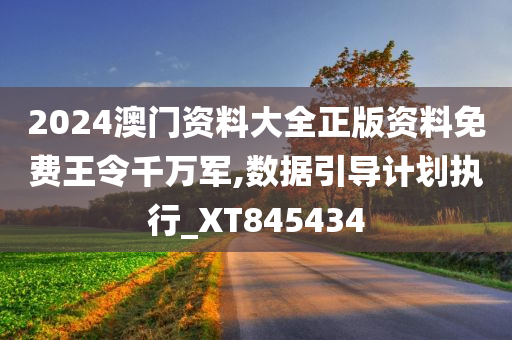 2024澳门资料大全正版资料免费王令千万军,数据引导计划执行_XT845434