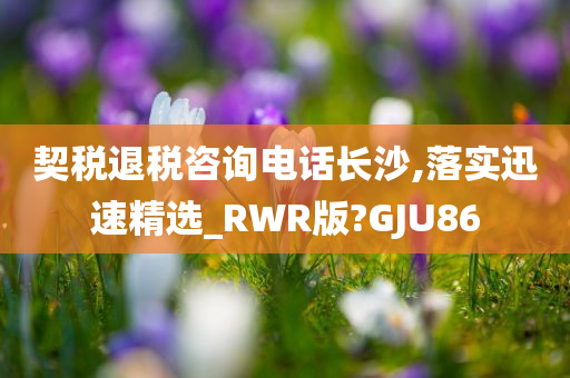 契税退税咨询电话长沙,落实迅速精选_RWR版?GJU86