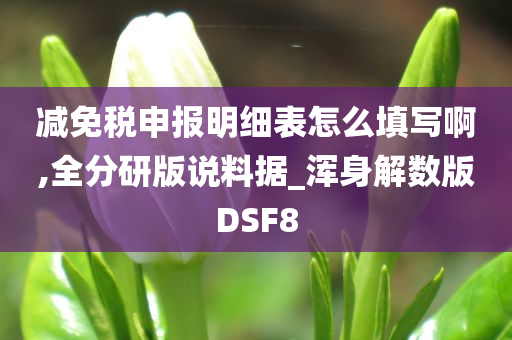 减免税申报明细表怎么填写啊,全分研版说料据_浑身解数版DSF8