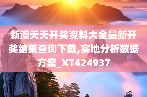 新澳天天开奖资料大全最新开奖结果查询下载,实地分析数据方案_XT424937