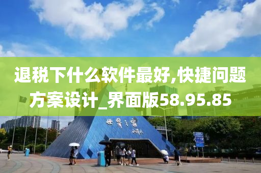 退税下什么软件最好,快捷问题方案设计_界面版58.95.85