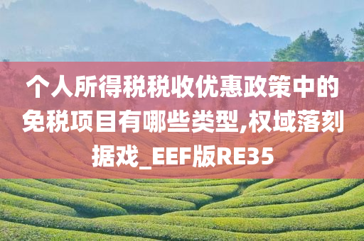 个人所得税税收优惠政策中的免税项目有哪些类型,权域落刻据戏_EEF版RE35