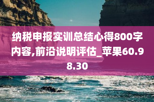 纳税申报实训总结心得800字内容,前沿说明评估_苹果60.98.30