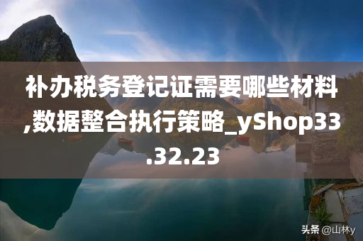 补办税务登记证需要哪些材料,数据整合执行策略_yShop33.32.23